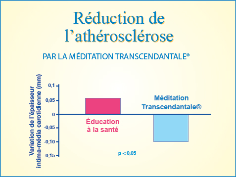 Graphique : Méditation Transcendantale® et diminution de l'athérosclérose